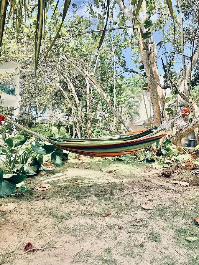 La Guagua Gitana Hotel Las Terrenas Campsite