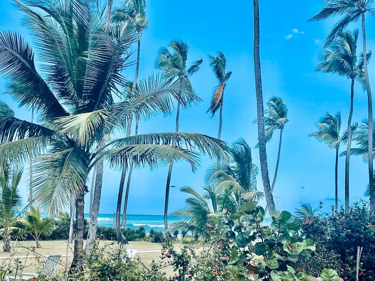 La Guagua Gitana Hotel Las Terrenas